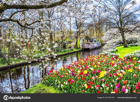 Keukenhof Park The Netherlands / Photos Keukenhof Lisse Netherlands ...