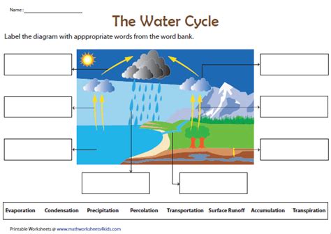 Free Printable Water Cycle Labeling