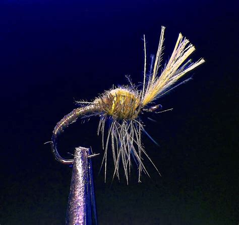 Midge Patterns | PlanetTrout | Pattern, Fly fishing nymphs, Flying