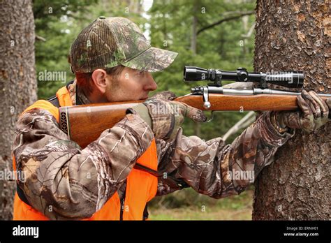 adult hunter aiming deer rifle in forest close-up Stock Photo - Alamy