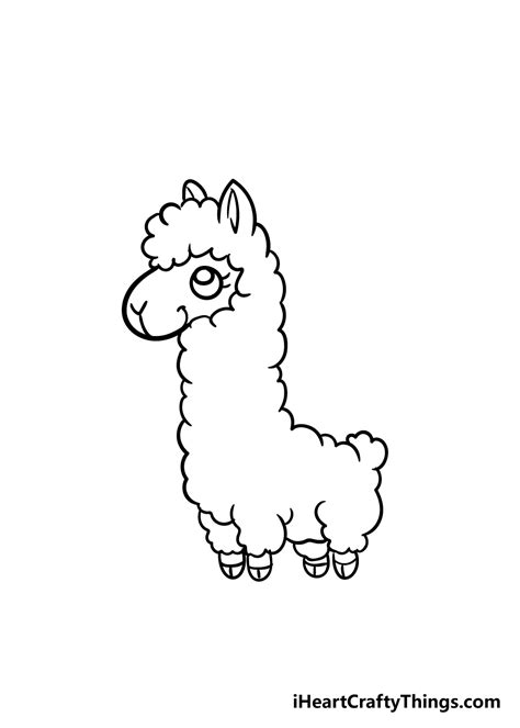 Llama Drawing