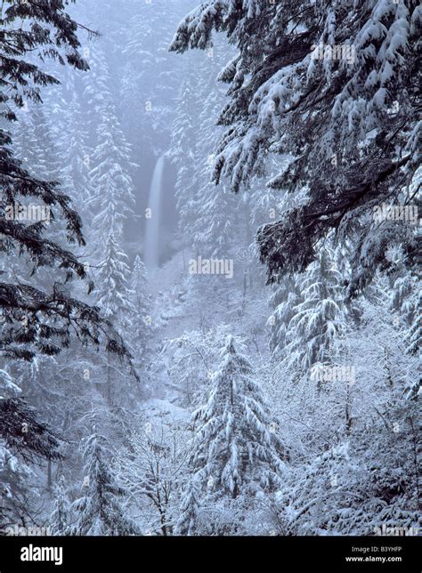 USA, Oregon, Silver Falls State Park. North Falls in winter snow Stock Photo - Alamy