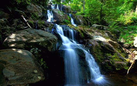 Forest waterfall [2] wallpaper - Nature wallpapers - #27304