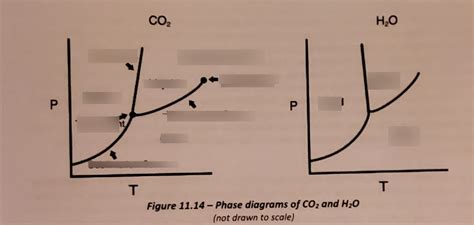 Chapter 11: intermolecular forces ( phase diagrams) Diagram | Quizlet