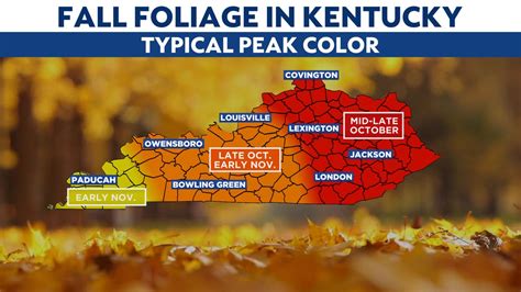 Kentucky Fall Foliage Map 2024 - Abbey Annetta