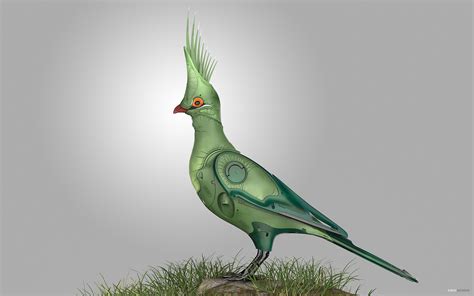 #02 - Turaco :: Behance