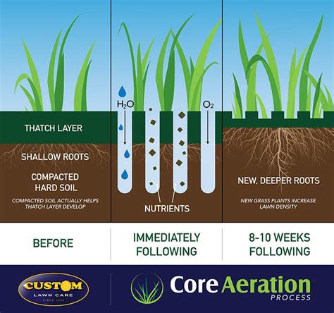 Core Aeration | Custom Personalized Lawn Care