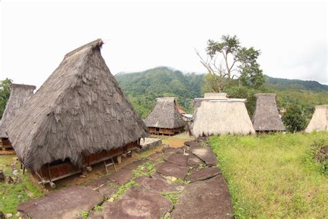 Wologai Traditonal Village, Ende Stock Image - Image of mountains, detusuko: 89384301