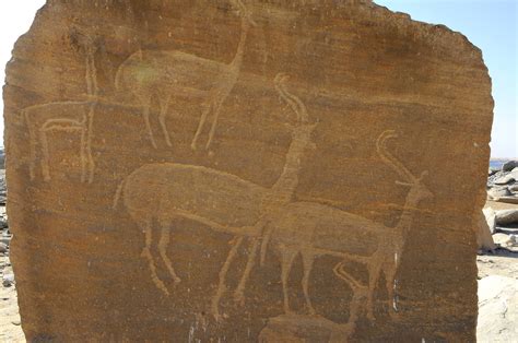 Kiosk of Qertassi - Engraved Relief | Aswan | Pictures | Egypt in Global-Geography