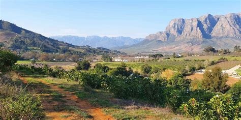 Tokara Wine Estate tickets - Stellenbosch - Prenotazione biglietti | GetYourGuide