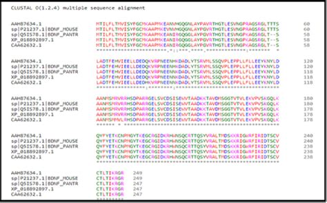 Clustal Omega Multiple sequence alignment showing gaps and dissimilar... | Download Scientific ...