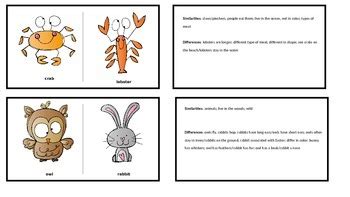 Similarities & Differences: Comparing & Contrasting Animals, Creatures, Insects