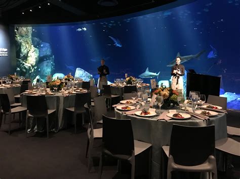 The New York Aquarium is ready to host your event in our newest exhibit ...