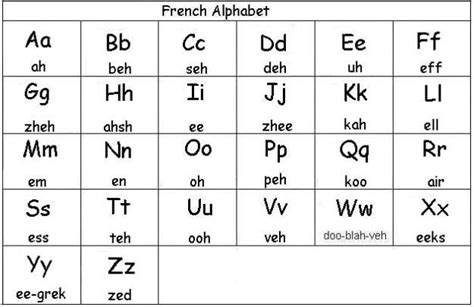 Testacy in French? How to use Testacy in French. Learn French