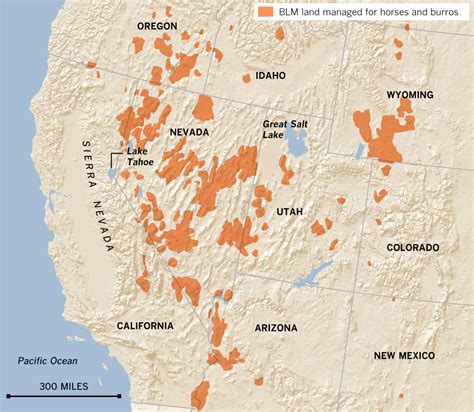 INTERACTIVE GRAPHIC: The West’s wild horses - Data Desk - Los Angeles Times