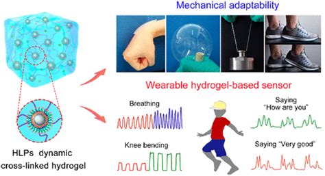 Bioinspired Dynamic Cross-Linking Hydrogel Sensors with Skin-like Strain and Pressure Sensing ...