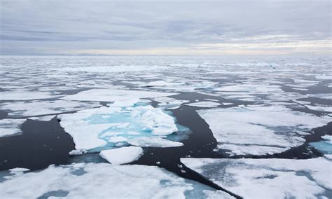 How big is the Arctic Ocean? And eight other Arctic facts | Stories | WWF