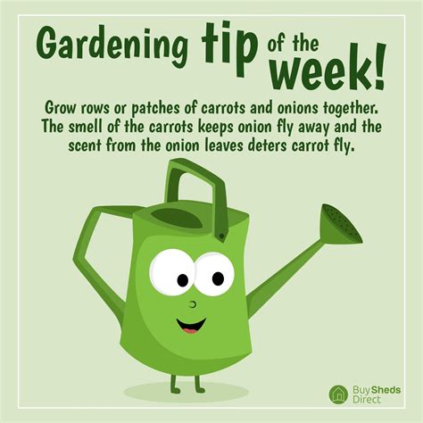 Gardening tip of the week 3