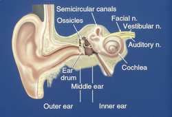 Otology & Neurotology | Cleveland Clinic