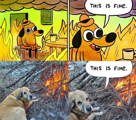 This is fine. : memes