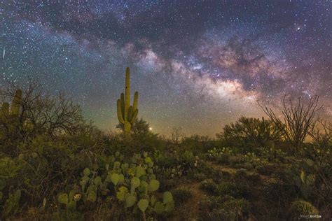 The Sonoran Desert during peak night sky viewing conditions - Arizona [OC] [2500x1667] : r/EarthPorn