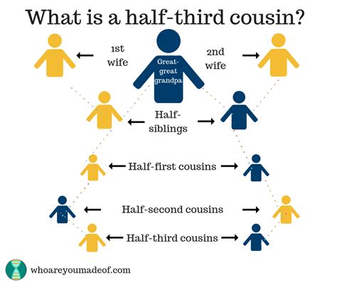 What is a Half-Cousin? - Who are You Made Of?