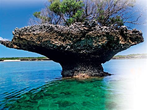 No1 Amazing Things: The Aldabra Atoll