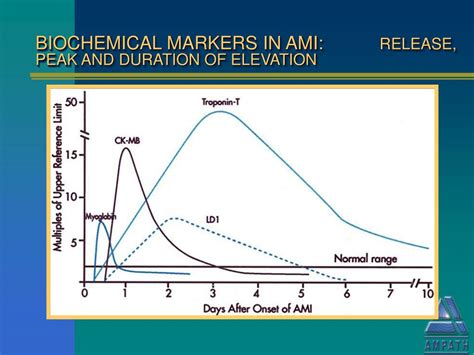 PPT - Biochemical Markers in Cardiac Disease PowerPoint Presentation, free download - ID:4493677