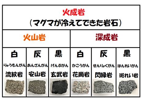 堆積岩の種類と特徴を解説 | 中学理科の苦手解決サイト ｜【さわにい】の解説