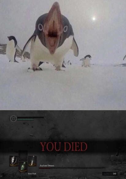 Who knew penguins were that scary : r/memes