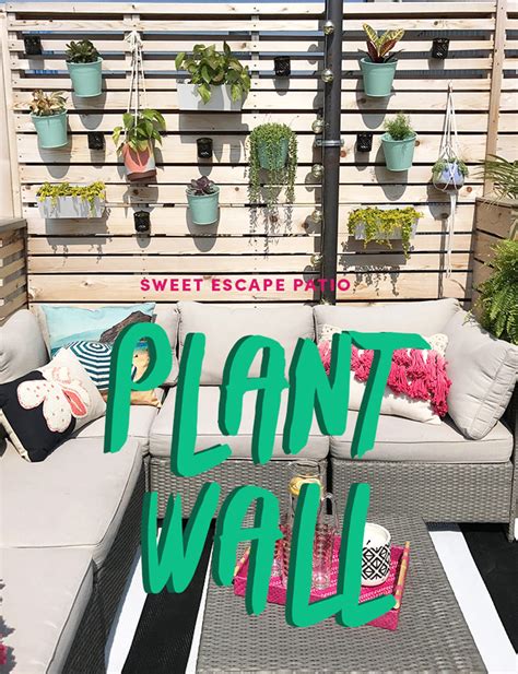 Project Sweet Escape Patio: DIY Plant Wall – The Sweet Escape Creative Studio