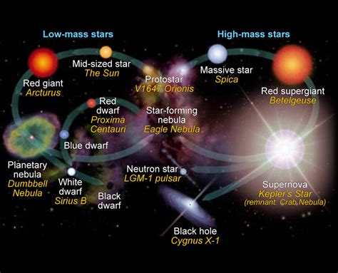 11.4: H-R Diagram and Star Life Cycles - Physics LibreTexts