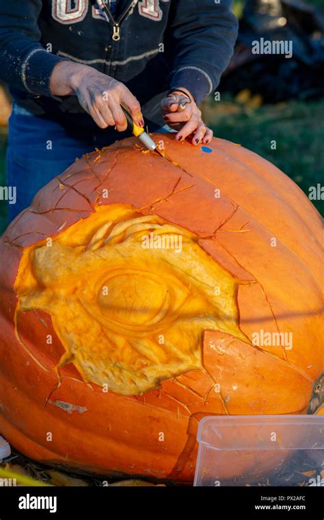 CHADDS FORD, PA - OCTOBER 18: View Person carving pumpkin at The Great Pumpkin Carve carving ...