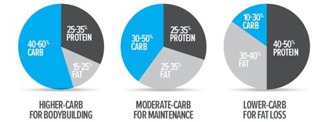 Counting Macros: Your Carb Protein Fat Ratios For Goals