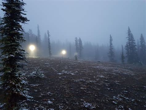 Winter in Summer up in Alberta, Canada : r/MTB