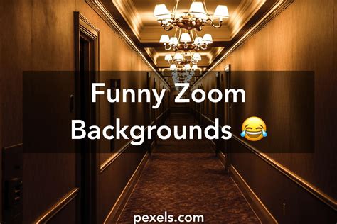 Funny Zoom Backgrounds Dirty