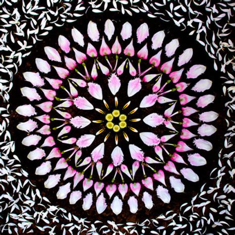 Gorgeous Mandala made from flowers and plants - Kathy Klein