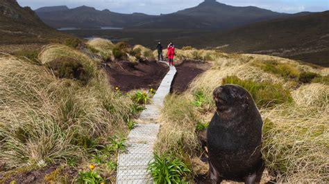 Subantarctic Islands Cruises Banner Video - Heritage Expeditions - YouTube