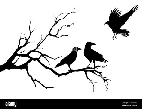 Bird Silhouette Branch Stock Photos & Bird Silhouette Branch Stock ...