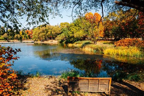 Seoul Forest Park, Pond with Autumn Colorful Trees in Korea Stock Image - Image of beautiful ...