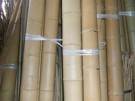 Moso Bamboo Poles Tonkin Canes Stakes Sticks Fence Ladders(id:2693158). Buy bamboo canes, bamboo ...