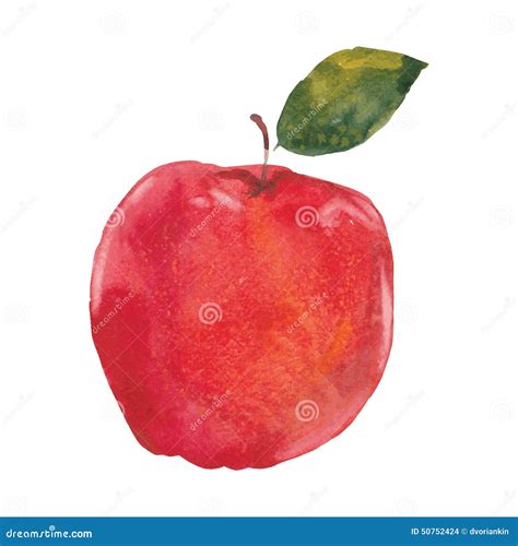 Watercolor apple stock vector. Illustration of freshness - 50752424