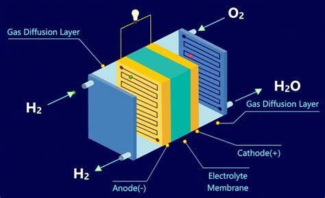 Do All Fuel Cells Use Hydrogen at Donald Venable blog