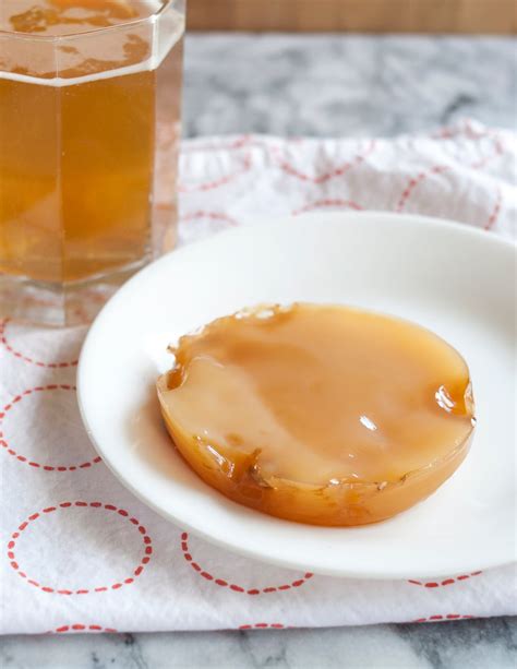 How To Make Your Own Kombucha Scoby | Kitchn