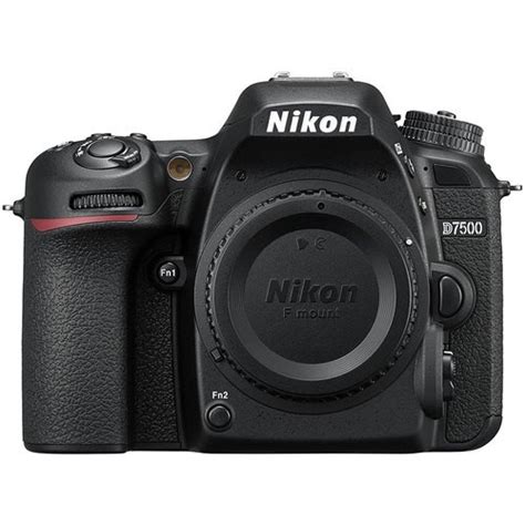 Nikon D5600 Vs D7500 - BuyDig.com Blog