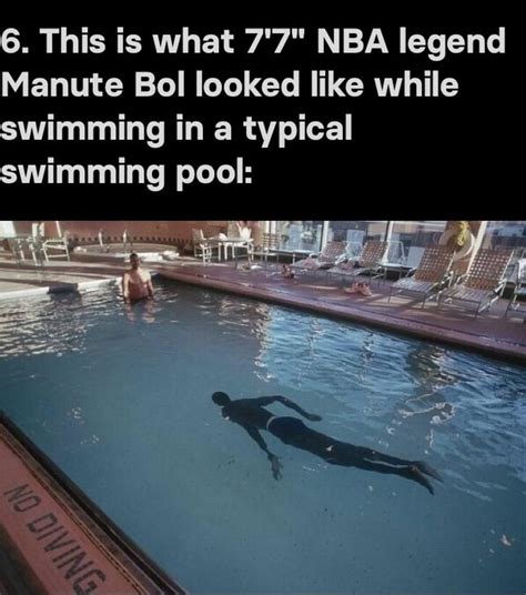 6. This is what 7'7" NBA legend Manute Bol looked like while swimming ...