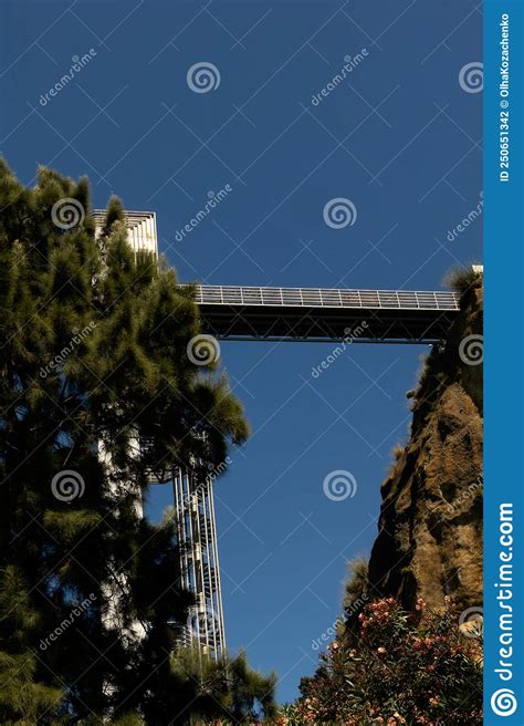 Lisbon Architecture Close-up Outdoors Nature. Tree and Blue Sky Stock Photo - Image of trees ...