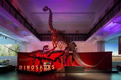 Dinosaurs Australian Museum | Sydney Event Spaces