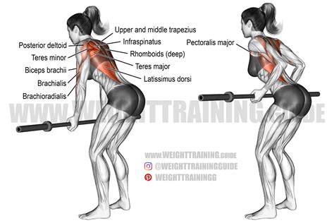 Underhand Yates row exercise guide and video | Weight Training Guide