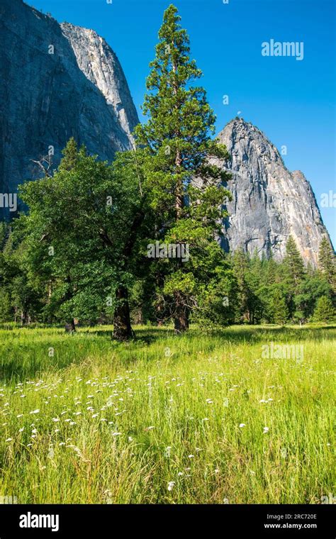 Sunrise in Yosemite Valley produces magical golden light and sunrays for visitors to Yosemite ...